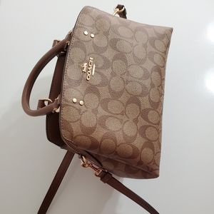 Coach Mini Lillie Carryall Tote Bag